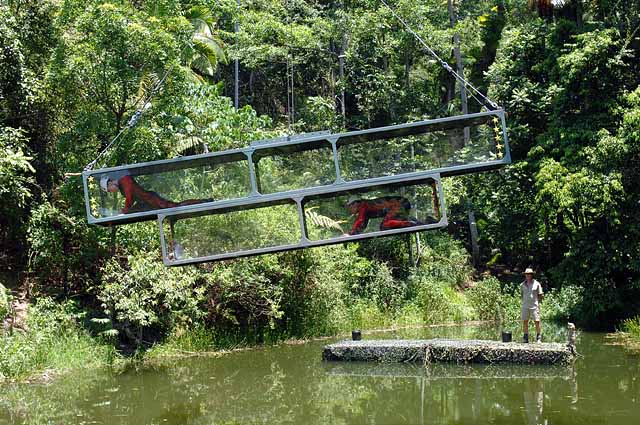 Dschungelprüfung über dem Teich